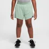 Nike Multi Big Kids' (boys') Dri-fit Split Shorts In Green