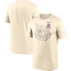Nike Natural Arizona Wildcats Campus Shadow Legend Performance T-shirt In Neutral