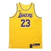 Nike Nba Au Player Edition Lakers Lebron James Connected Jersey Sports Basketball Yellow