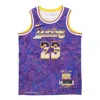 Nike Nba Retro Basketball Vest Sw Fan Edition Lebron James 23 Purple In Blue