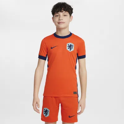 Nike Netherlands (men's Team) 2024/25 Stadium Home Big Kids'  Dri-fit Soccer Replica Jersey In Orange