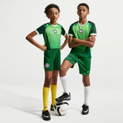 Nike Nigeria 2026 Stadium Home Big Kids'  Dri-fit Soccer Replica Shorts In Multi
