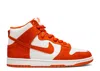 Nike Syracuse Dunk High Pro In Orange