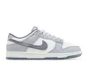 Nike Dunk Low Retro Sneaker In Gray