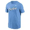 Nike North Carolina Tar Heels Baseball Wordmark  Men's College T-shirt In Blue