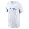 Nike Men's North Carolina Tar Heels Primetime Wordmark  College T-shirt In White
