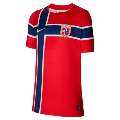 Nike Big Kids Norway 26 Stadium Home Dri-fit Replica Soccer Jersey In Brown