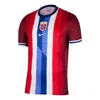 Nike Norway (team) 2024/25 Stadium Home  Men's Dri-fit Soccer Replica Jersey In Blue