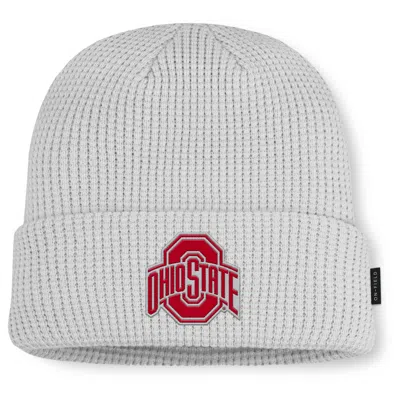Nike Ohio State Utility Off-field  Men's College Cuffed Beanie