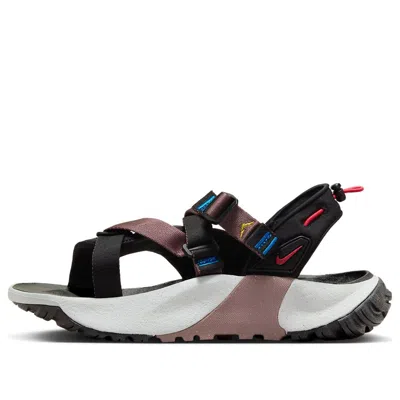 Nike Oneonta Next Nature Sandal 'black Plum Eclipse' In Multi