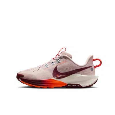Nike Babies' Pegasus Trail 5 Big Kids' Trail Running Shoes In Brown