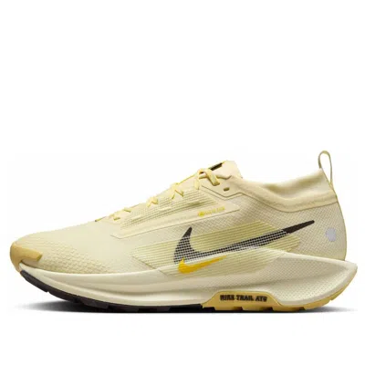 NIKE NIKE PEGASUS TRAIL 5 GORE-TEX 'ALABSTER MEDIUM ASH LIGHTENING'