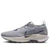 Nike Mens  Reactx Pegasus Trail 5 Gtx In Gray