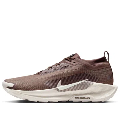 Nike Pegasus Trail 5 Gore-tex 'mink Brown'