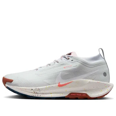 NIKE NIKE PEGASUS TRAIL 5 GORE-TEX 'PURE PLATINUM PINK FOAM'