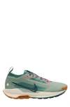 Nike Men's Pegasus Trail 5 Gore-tex Waterproof Trail Running Shoes In Jade Horizon/navy/bicoastal
