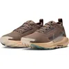 Nike Pegasus Trail 5 Gore-tex® Waterproof Running Shoe In Multi