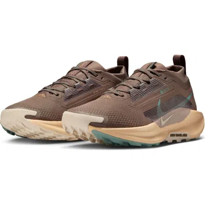 Nike Pegasus Trail 5 Gore-tex® Waterproof Running Shoe In Multi