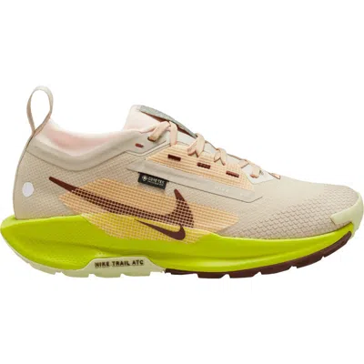 Nike Women's Pegasus Trail 5 Gore-tex Waterproof Trail Running Shoes In Brown