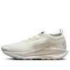 Nike Men's Pegasus Trail 5 Gore-tex Waterproof Trail Running Shoes In White