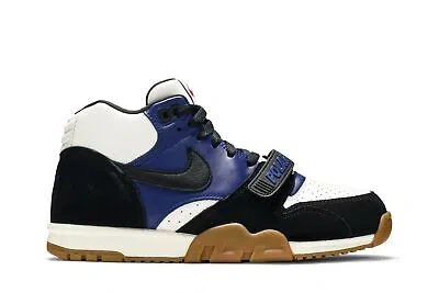 Pre-owned Nike Polar Skate Co X Air Trainer 1 Sb 'black Deep Royal Blue' Ci6892-001