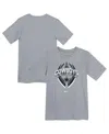 Nike Big Boys And Girls Gray Dallas Cowboys Icon Legend T-shirt In Gray