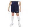 Nike (ps)  Academy 23 Knit Shorts 'blue'