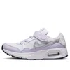 Nike (ps)  Air Max Sc 'violet Frost Metallic Silver' In Purple