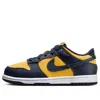 Nike Dunk Low Sneakers In Blue