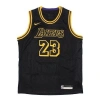 Nike (ps)  X Nba La Lakers Jerseys 'lebron James 23'