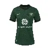 Nike Racing Louisville Fc 2025 Stadium Away  Women's Dri-fit Nwsl Replica Jersey In Green