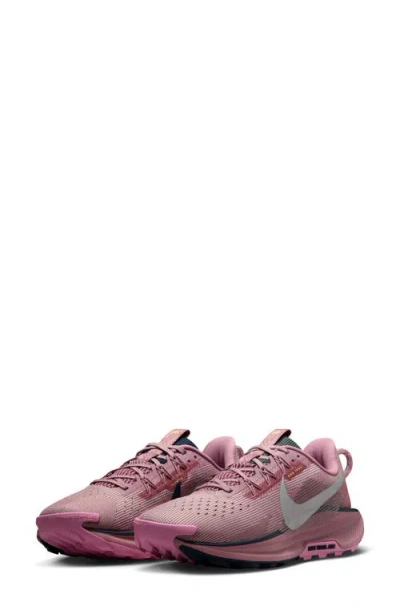 Nike Reactx Pegasus 5 Trail Running Shoe In Plum Dust/silver