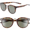 Nike Revere 51mm Round Sunglasses In Tortoise/green