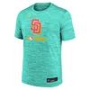 Nike Men's Mint San Diego Padres 2025 City Connect Authentic Collection Velocity Performance T-shirt In Green