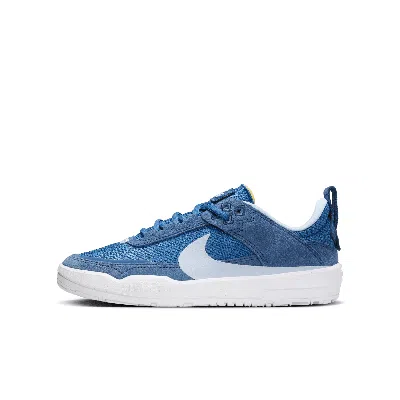 Nike Sb Day One Big Kids' Skate Shoes In Blue