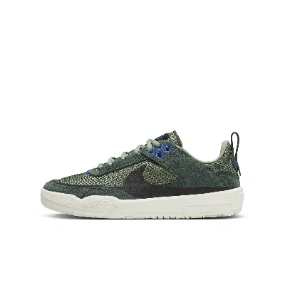 Nike Babies' Sb Day One Big Kids' Skate Shoes In Green