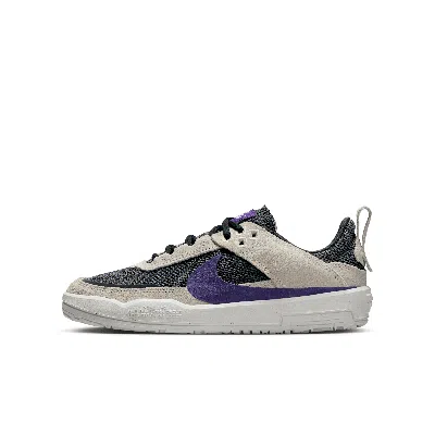 Nike Sb Day One Big Kids' Skate Shoes In Grey