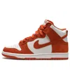 Nike Syracuse Dunk High Pro In White