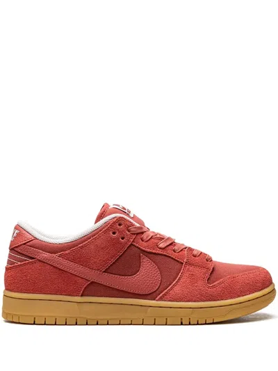Nike Sb Dunk Low Sneakers In Coral