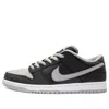 Nike Sb Dunk Low 'j-pack Shadow' In Multi
