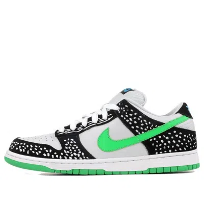 Nike Sb Dunk Low Premium 'loon'