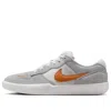 Nike Sb Force 58 'platinum Tint Wolf Grey Summit White Monarch' In Gray