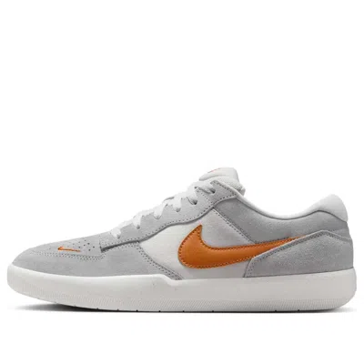 Nike Sb Force 58 'platinum Tint Wolf Grey Summit White Monarch' In Gray