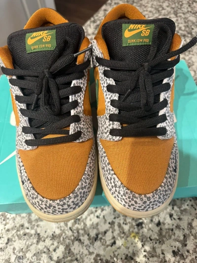 Pre-owned Nike Sb Low Safari Shoes In Orange