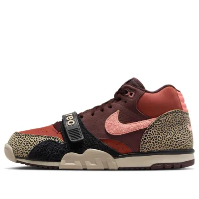 Nike Sb X Arts-rec Air Trainer 1 'limestone'