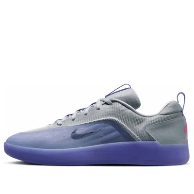 Nike Sb Zoom Nyjah 4 Sneakers In Gray