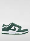 Nike Dunk Low Retro Sneakers White / Team Green In Grün