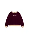 Nike-sportswear Baby Girl Sweatshirt Nike Sportswear 45d519-p3d In Burgundy