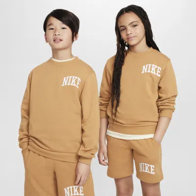 Nike Sportswear Club Big Kids' French Terry Crew-neck Sweatshirt In Brown
