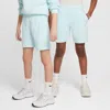 Nike Sportswear Club Fleece Big Kids' French Terry Shorts In Blue